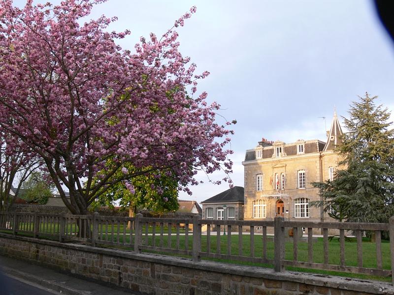 Mont Saint Michel 2010 - 209.jpg
